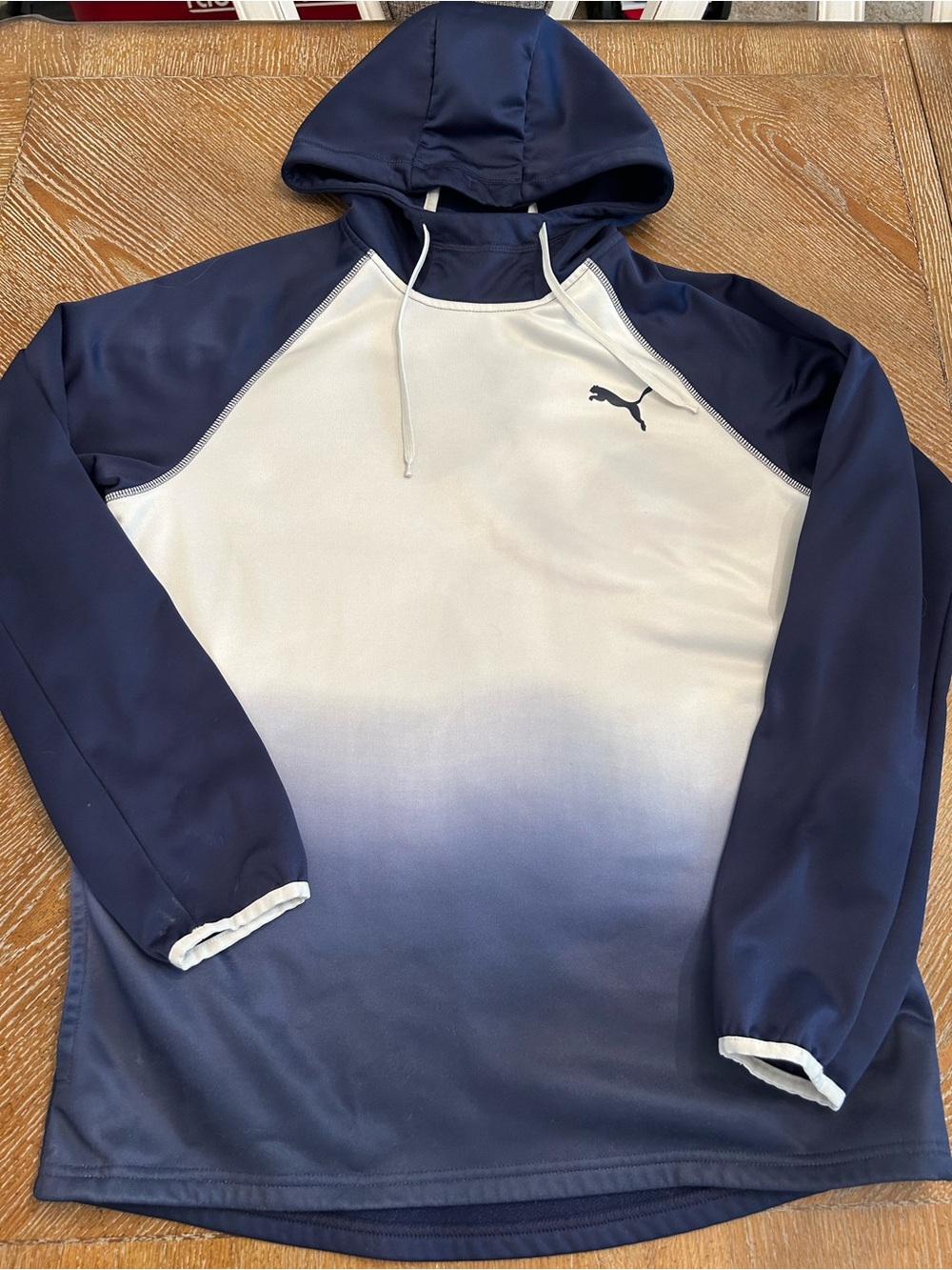 Puma Men’s Navy & White Gradient Hooded Swim Rash Guard